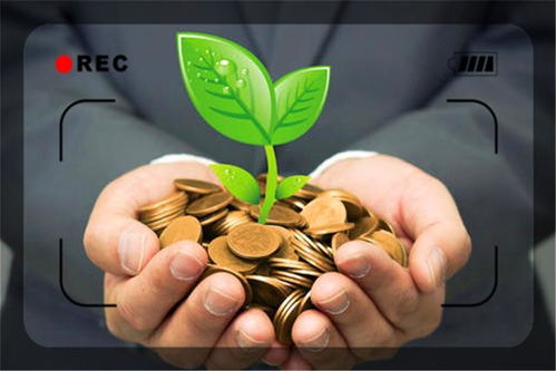 一個36歲的人負債300多萬,如何才能早日還清呢 做好這幾點